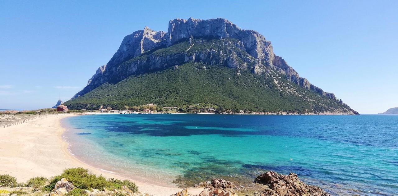 Iss Travel, Sea View Apartment Il Corbezzolo - Ground Floor With Air-Condition San Teodoro  Εξωτερικό φωτογραφία